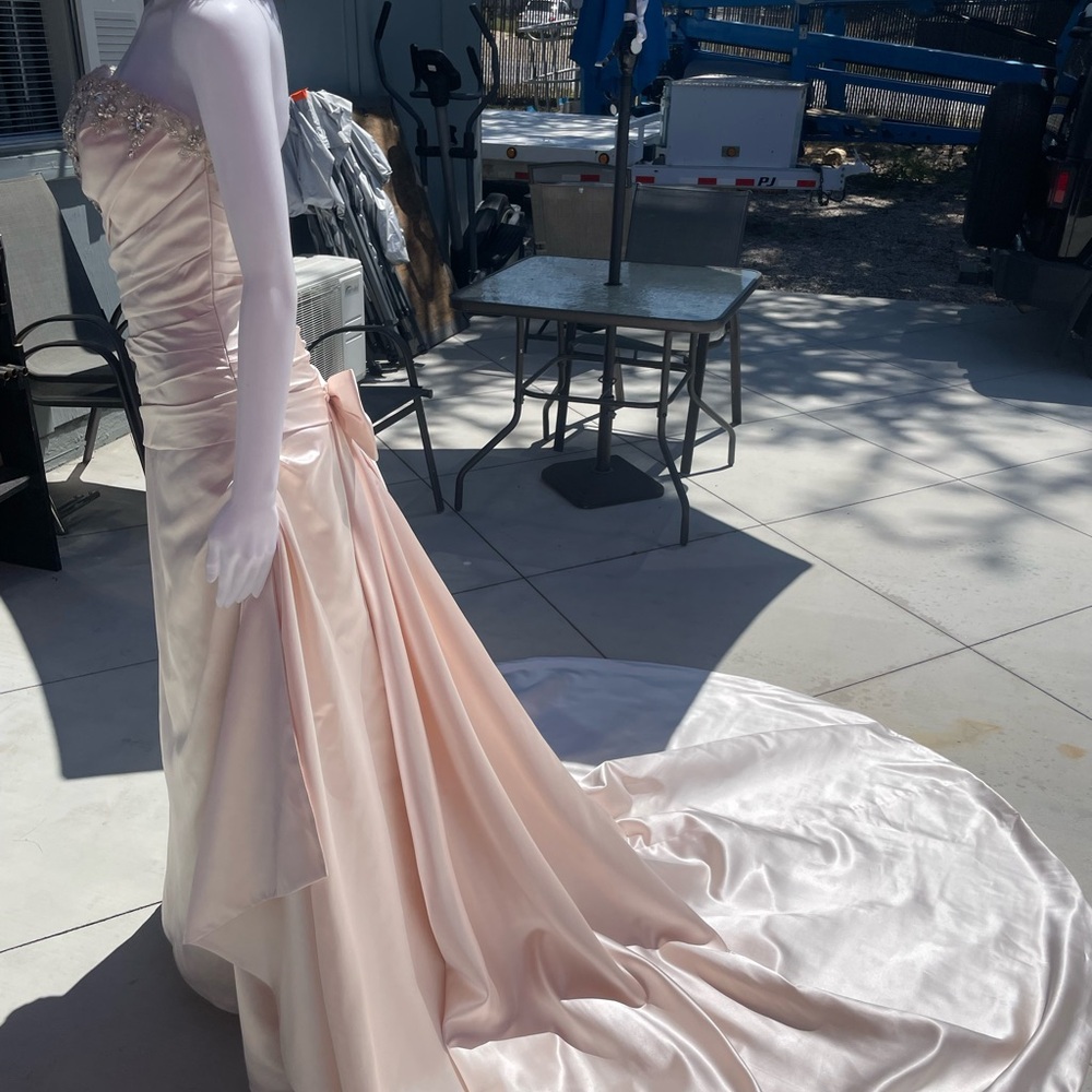 Couture Collection elegant Blush wedding dress - Picture 4 of 15